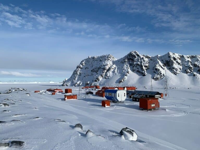 Votaron 176 científicos y militares en el continente blanco: La Libertad Avanza arrasó con el 94,8% de los votos
