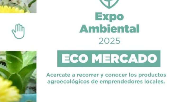 Expo 2025: Destacan la concientización ambiental como pilar