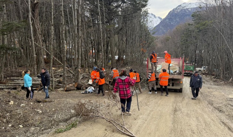 Los planes ambientales para Ushuaia en el presupuesto 2026