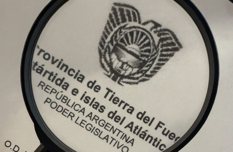 Reiteraran pedidos de informe al Poder Ejecutivo