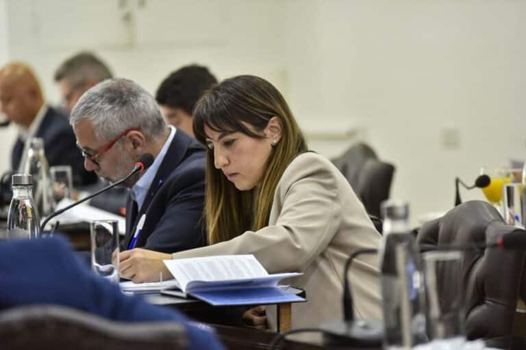 Laura Colazo rechazó la modificación de la Ley 1355 y advirtió un retroceso ambiental