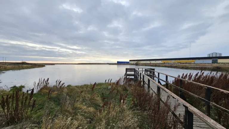 Una mujer fue rescatada inconsciente de la Laguna de los Patos
