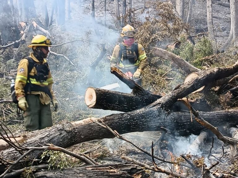 Tierra del Fuego envió brigadistas al Parque Nacional Los Alerces