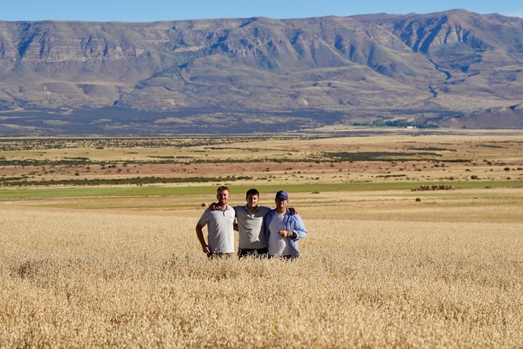 La Patagonia austral empezó a cosechar trigo y cebada